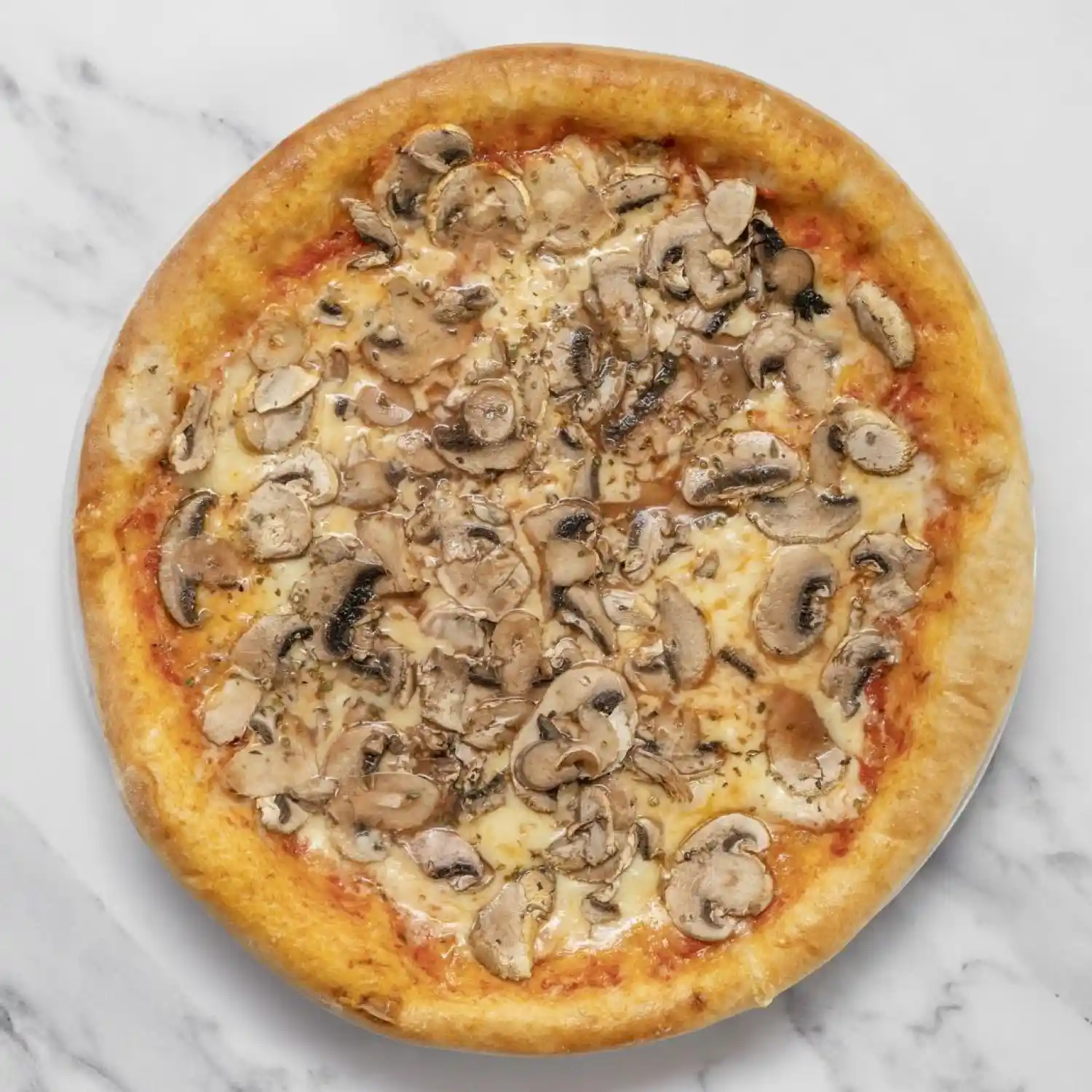 FUNGHI